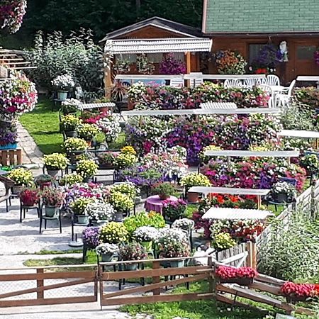 Appartement Planaiblick Schladming Εξωτερικό φωτογραφία