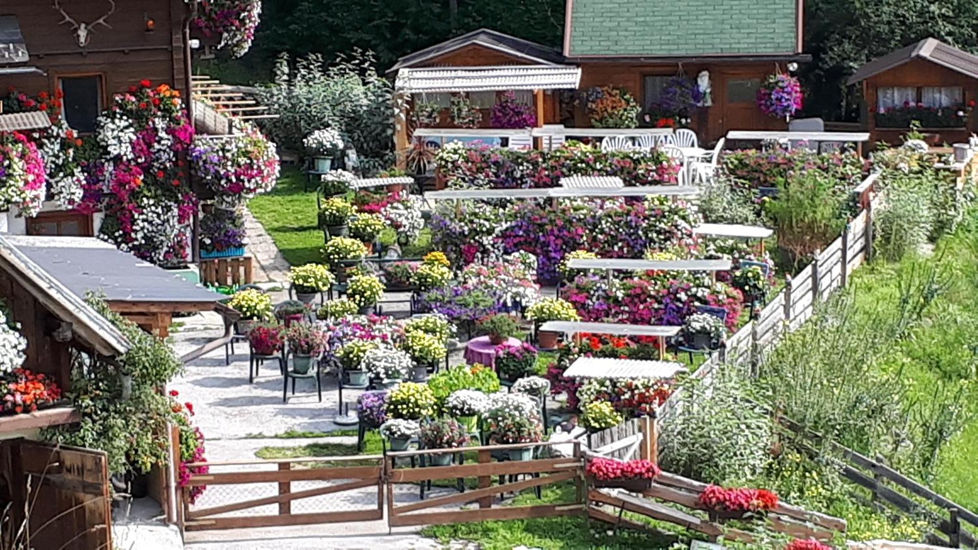 Appartement Planaiblick Schladming Εξωτερικό φωτογραφία